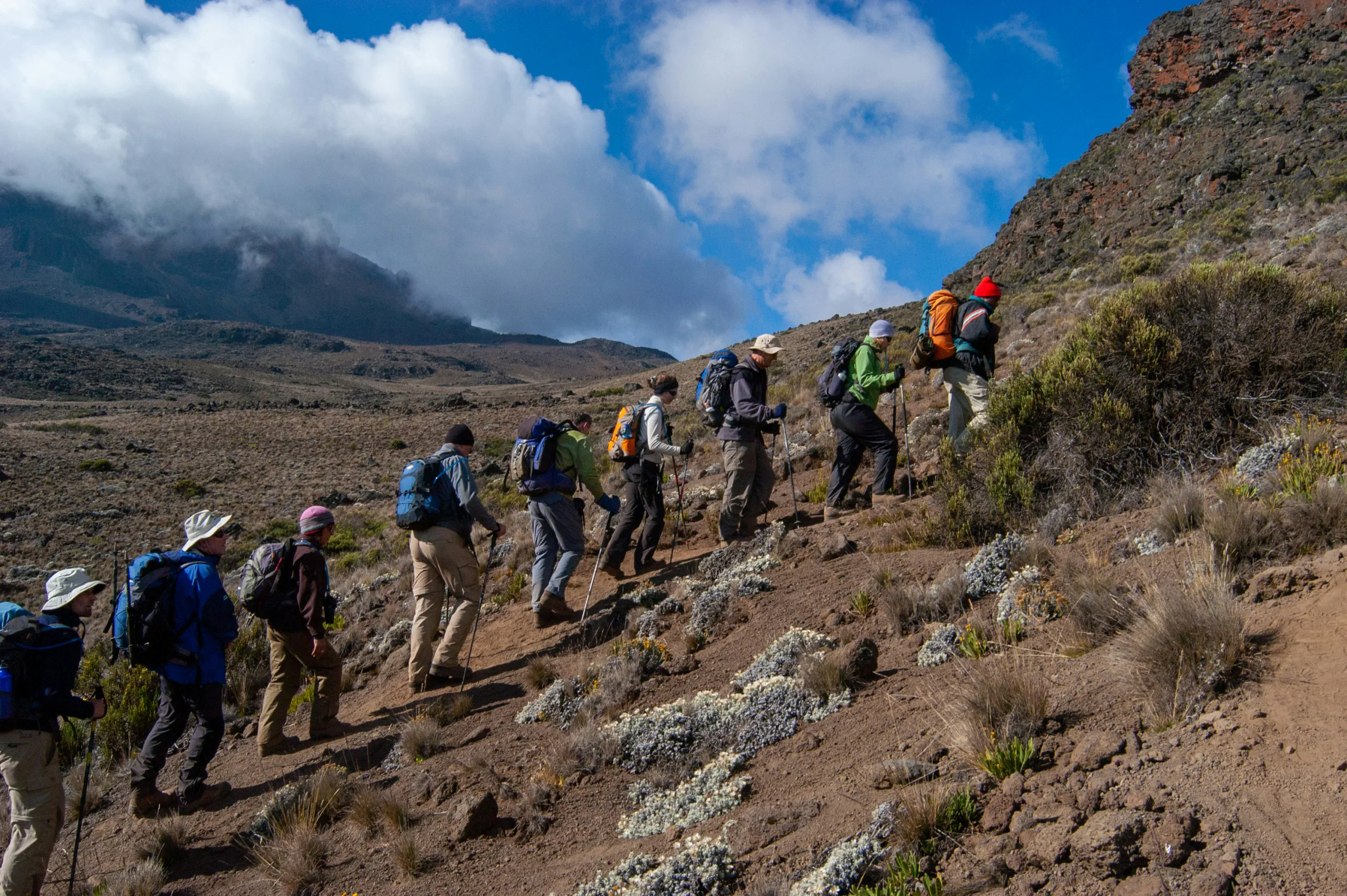 Trekkers crossing Kilimanjaro's heathland trail