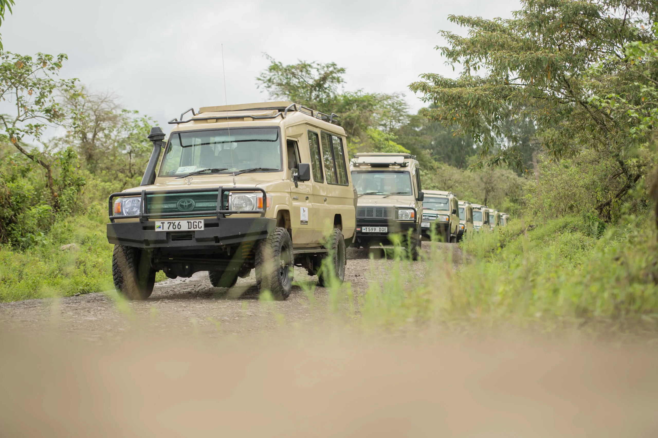 Excellent Guides safari vehicle fleet travelling through a green Tanzania landscape
