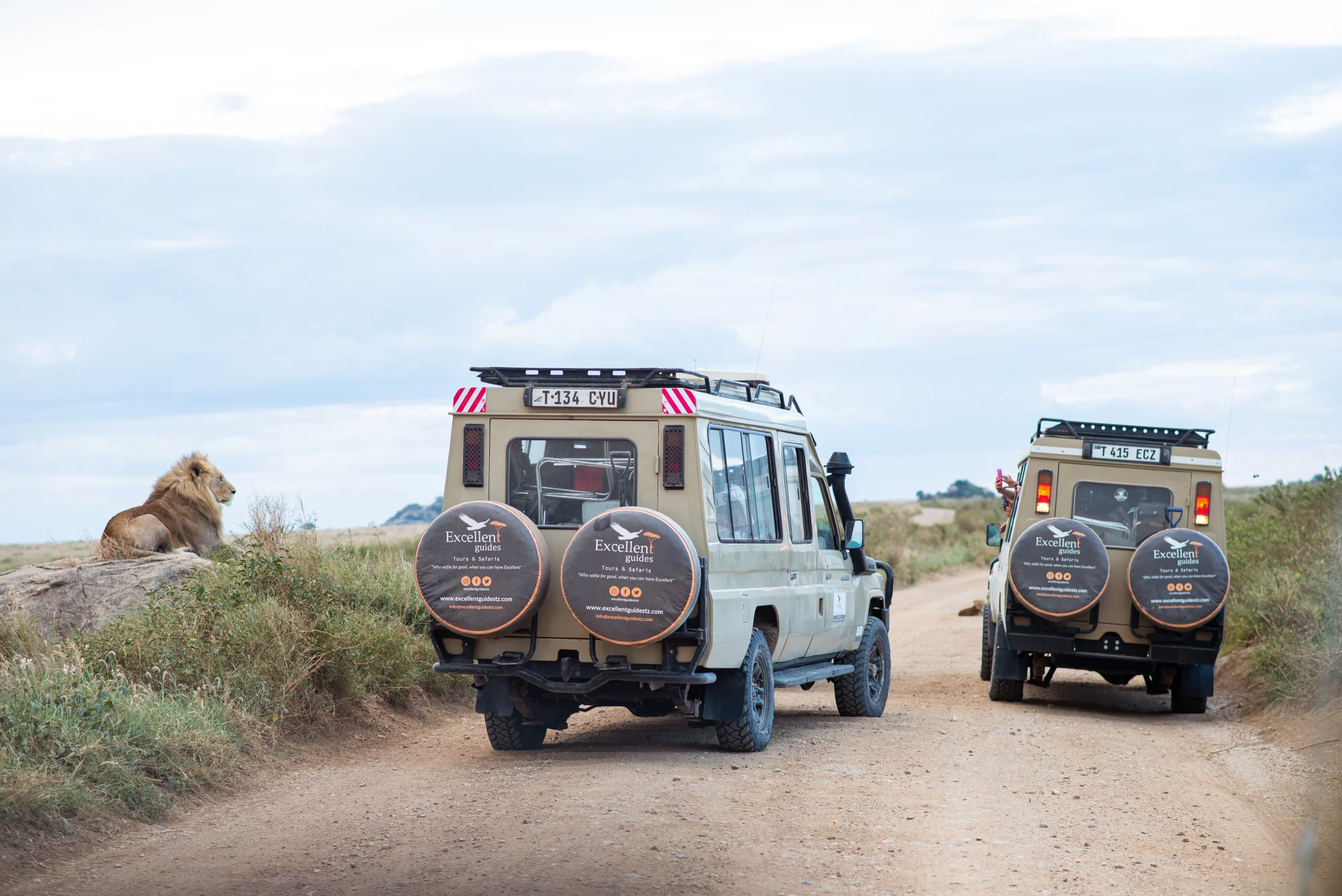 Tanzania luxury safari experience