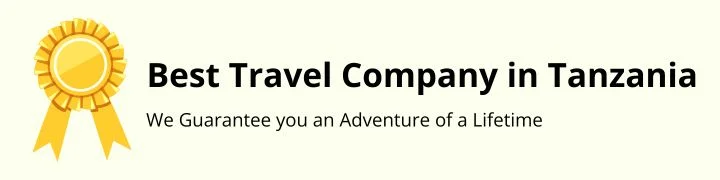 Best Travel Company in Tanzania — We Guarantee you an Adventure of a Lifetime