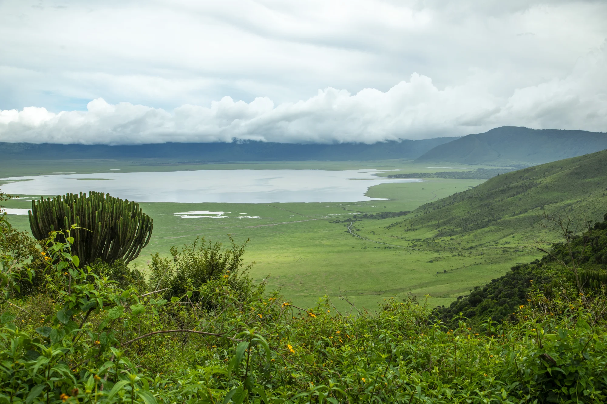 Ngorongoro Crater wildlife