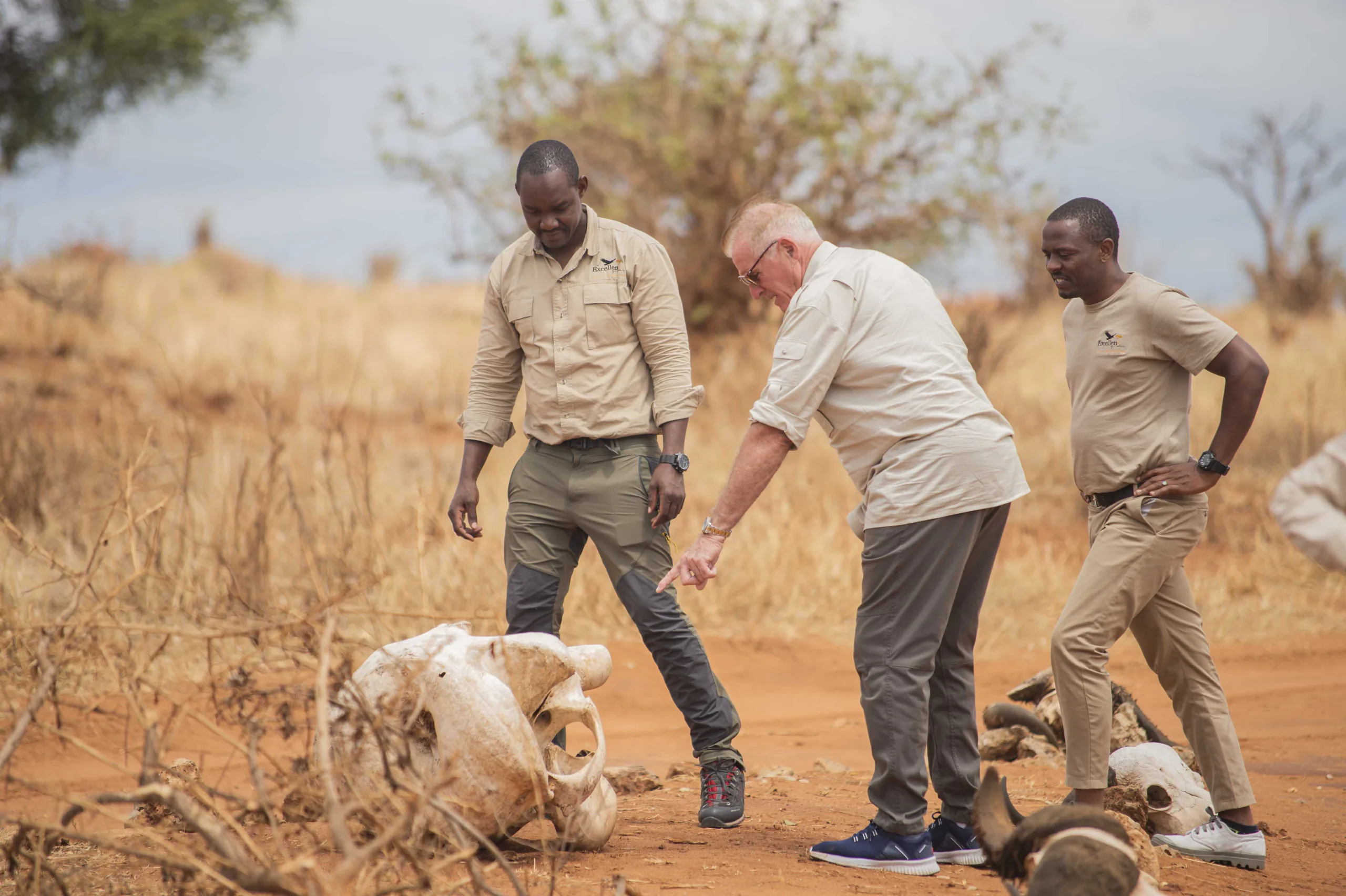 10-day safari with room to discover